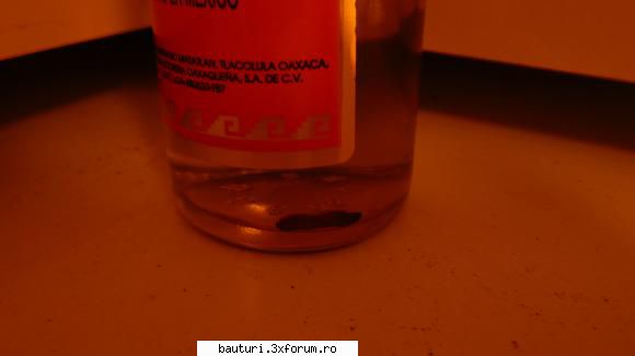 50 l de bere facuta acasa - uite si viermele ... a ... si sa nu uit - Bauturi fermentate
