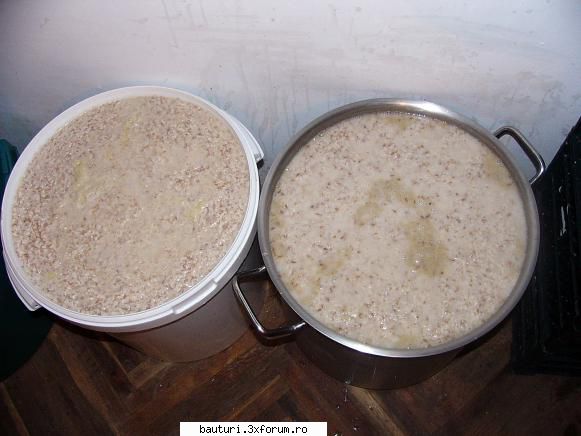 Alcool din orez - Gata, e pe drumul cel bun acum. M-am �ngrijorat - Bauturi distilate