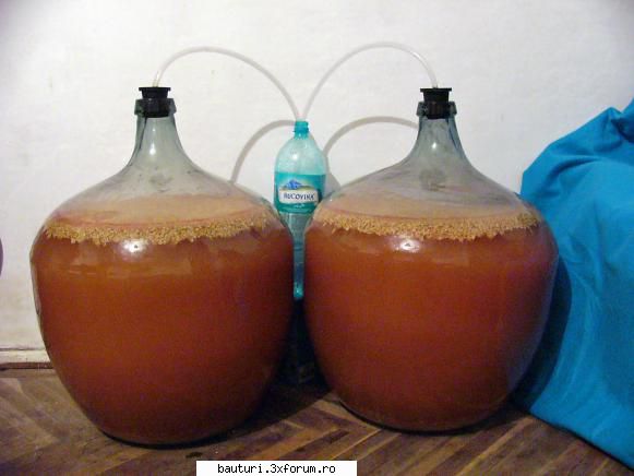 Alcool din zahar - Sunt 2 luni de c�nd stă la fermentat - Bauturi distilate