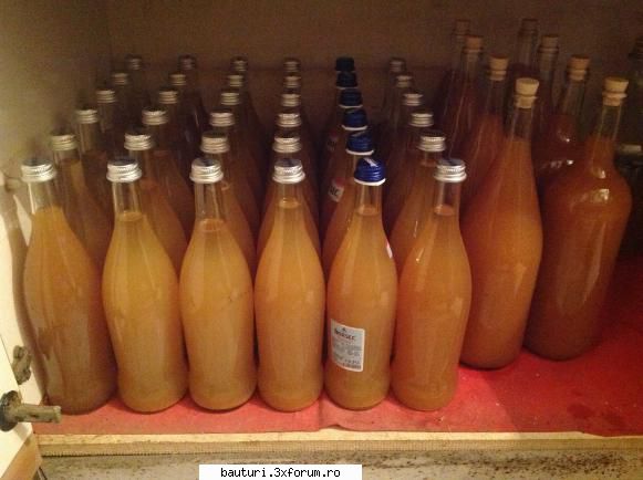 Cidru de mere fermentat pe boasca - Cidrul pregatit pentru invechire - Bauturi fermentate