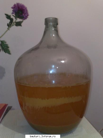 Cidru de mere fermentat pe boasca - Uite si cidrul meu inainte de tragere - Bauturi fermentate