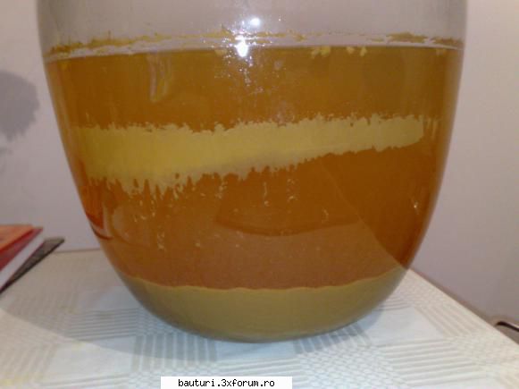 Cidru de mere fermentat pe boasca - A sedimentat bine dar nu s-a limpezit foarte - Bauturi fermentate