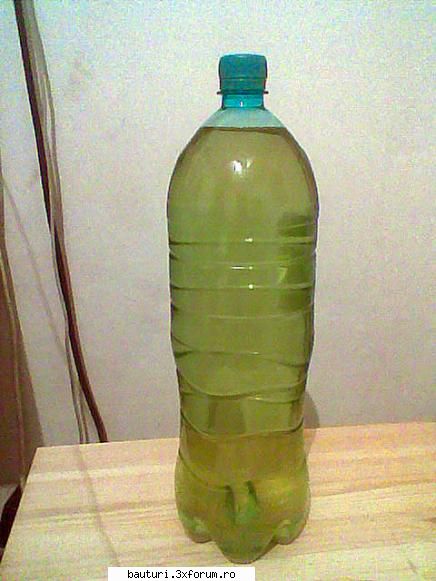 Cidrul de mere - Drojdia de şampanie sedimentează foarte - Bauturi fermentate