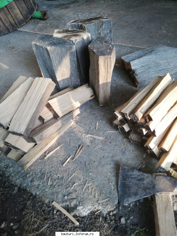 nici io nu stau degeaba, noua serie de lemnul a stat 3 ani pe un �n v�nt, soare, ploaie, coloana