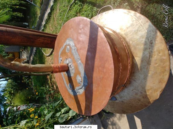 Distilat dulceata - Așa arată animalul. E vechi, rutinat - Bauturi distilate