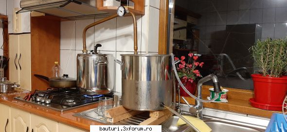 Distilat dulceata - mihai - Bauturi distilate