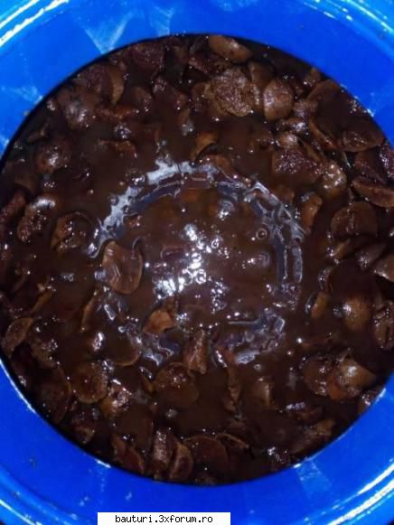 Fermentare pere - Buna, Inca de la inceput, scuze daca s-a mai - Fermentarea