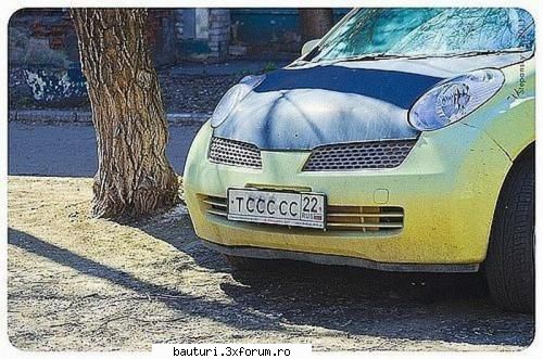 Gaseste pisica! - Samogon - Discutii libere