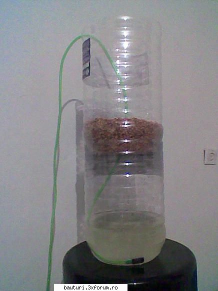 Germinator - Iată cum mi-am improvizat un germinator - Handmade