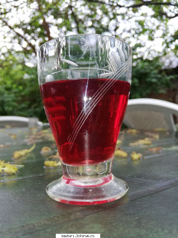 Lichior de fructe de pădure uscate - Lichior de pliculețe sună mai - Cocktailuri alcoolice