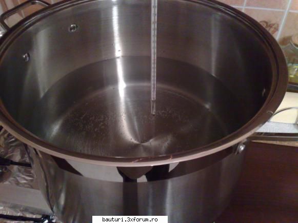 Malt whisky - Am pus la fiert 15 L de apa - Bauturi distilate