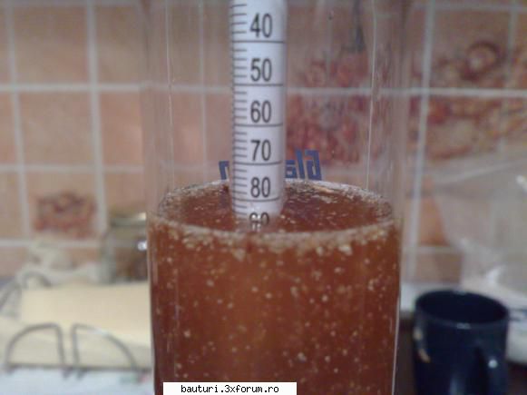 Malt whisky - Am filtrat printr-un servetel 250 ml de must si - Bauturi distilate