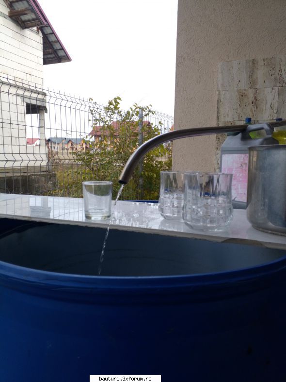 Matrafox din mălai și zahăr - licap - Distilarea