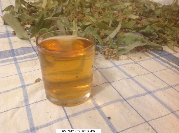 Maturare pălincă �n sticlă cu para - Eu am taiat gutuile in cuburi si - Bauturi distilate
