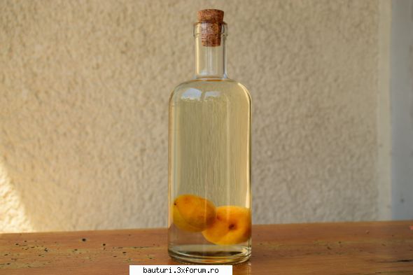 Maturare pălincă �n sticlă cu para - �ncepem recoltatul. Distilatul este - Bauturi distilate