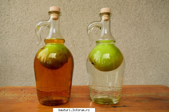 Maturare pălincă �n sticlă cu para - Vin si merele din urmă. Sticlele - Bauturi distilate