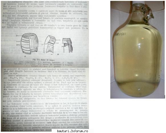 Maturarea in butoi de stejar - revenim la butoaie ... DA SE FAC TRATAMENTE LA - Butoaie si recipiente