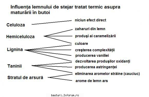 Maturarea in butoi de stejar - Lemnul este alcătuit �n cea mai mare parte - Butoaie si recipiente