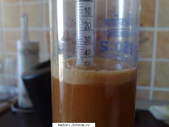 Mied - Sucul de mere a avut: - densitatea: 1.050 - Bauturi fermentate