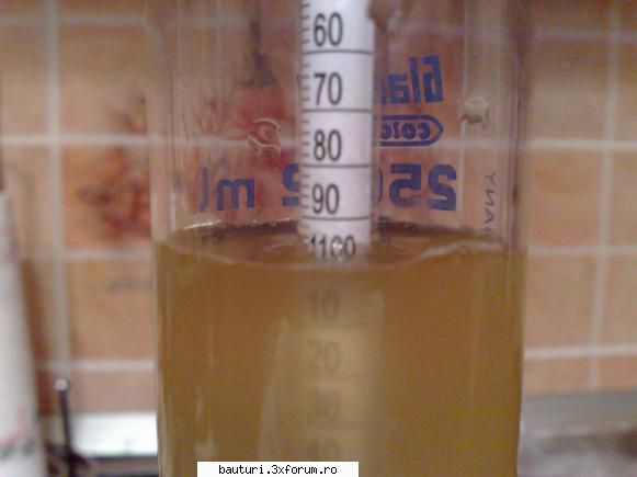 Mied - Dupa ce le-am amestecat: - densitate:1.098 - Bauturi fermentate