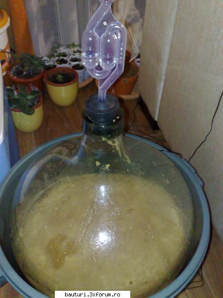 Mied - Intr-un vas am pus 250 ml must si 250 ml apa in - Bauturi fermentate