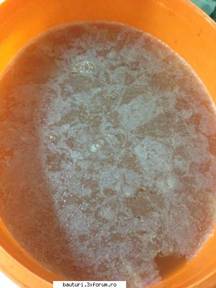 Otet de mere - am uitat sa pun poza ! - Bauturi fermentate