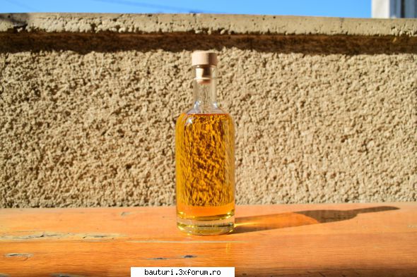 Pălincă de mere - Continuare. Pot sa confirm ca maturarea palincii - Bauturi distilate
