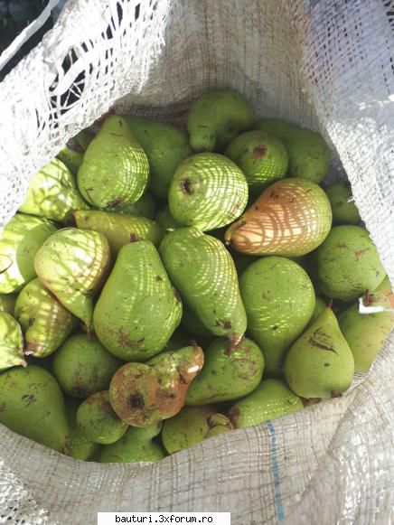 Pere cure -palinca - A facut cineva tuica sau palinca din pere de - Diverse