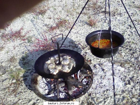 Peste marinat la cuptor - Iar cand ceaunul incepe sa se goleasca incingem - Bucatarie