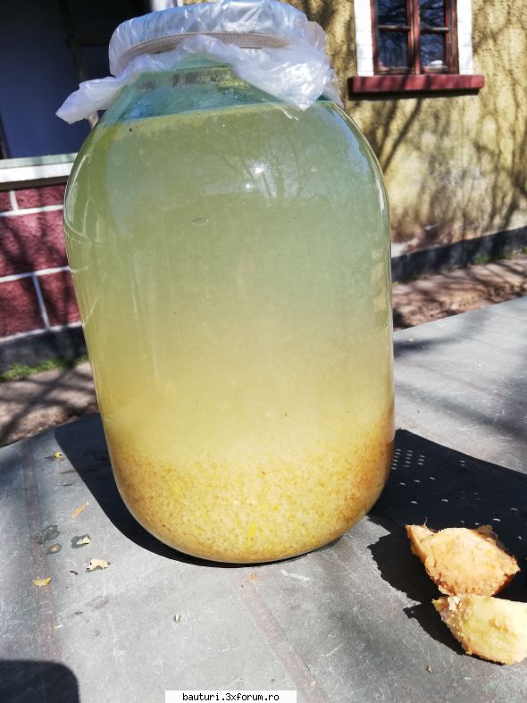 Plamezi hibride - Am dat și io gutuia pe răzătoarea - Bauturi distilate