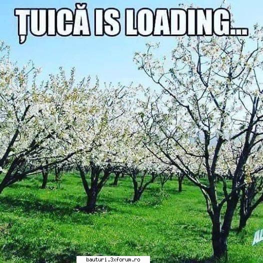 no uite aici ajutor...  daca ne iau ungurii ardealul, io prunii nu-i dau! prunii trebuie curatati?