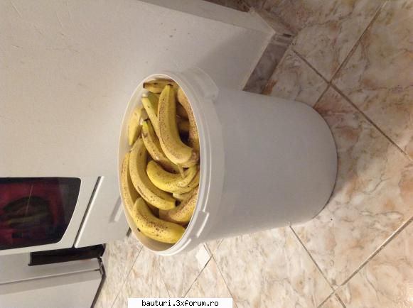 Rachiu din banane - Ma incerca de mult o curiozitate, cum ar fi o - Bauturi distilate