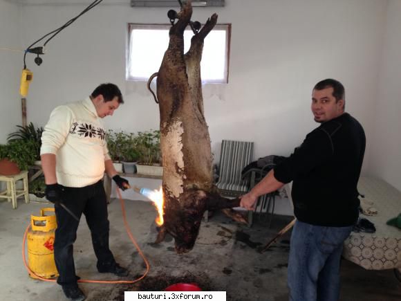 buna seara , dragii mei !astazi a fost din  nou zi de pauza de holercarit  a naibii sfecla nu s-a