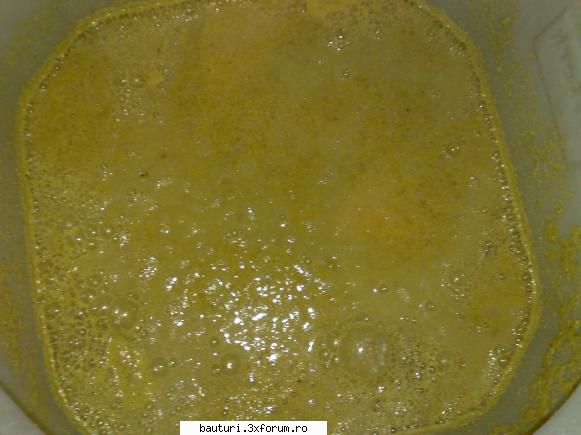 Whisky din malai :) - Dimineata la 7 fermenta la fel ca aseara. Cred ca - Bauturi distilate