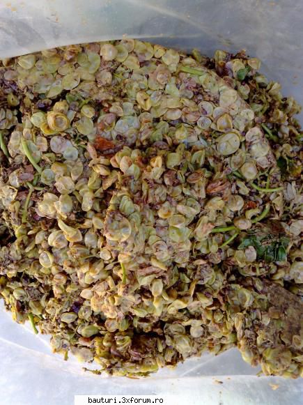 Zdrobitor struguri - Zdrobitorul a spart boabele perfect, fara sa - Handmade