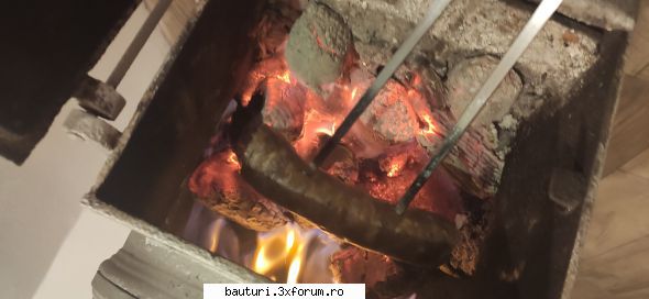 d'ale porcului=porcarii :-) - alnick - Bucatarie