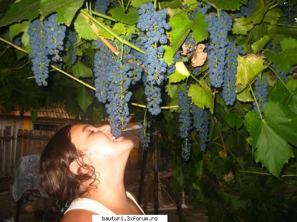 melasa - multumesc pt cele de mai sus CABERLOT, si profit - Bauturi distilate